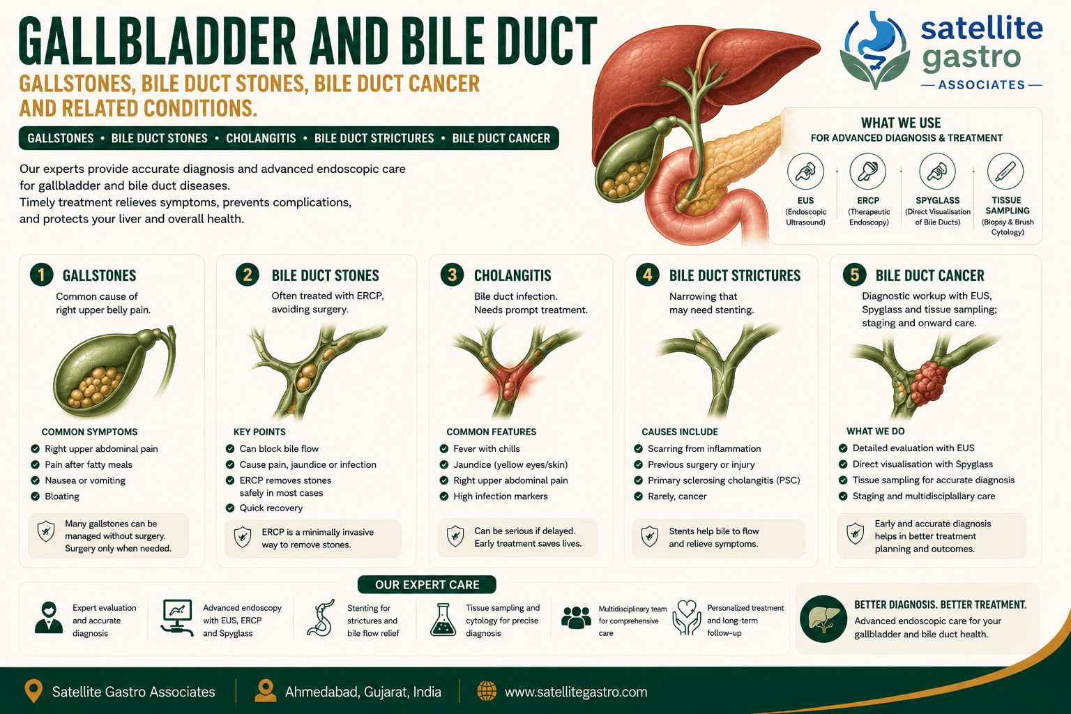 Gallbladder and bile duct