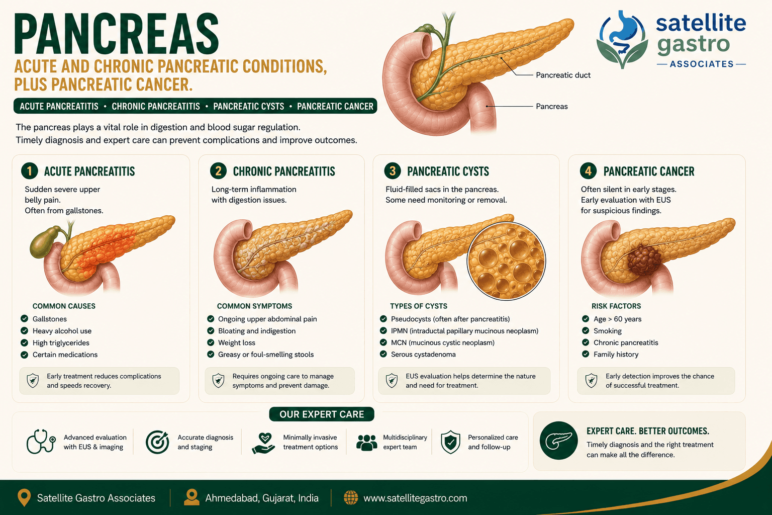 Pancreas